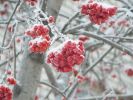 P1050687~0.JPG