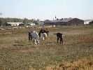 Файл=2006-09-09-(07).gif
Объём=201КБ
Размеры=600x450
Дата=Окт 09, 2006 2006-09-09-(07).gif