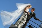 IMG_46671~0.jpg
