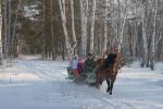 Файл=IMG_7227.jpg
Объём=126КБ
Размеры=415x275
Дата=Янв 04, 2008 IMG_7227.jpg