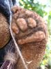 Файл=Browny-palm.jpg
Объём=196КБ
Размеры=600x800
Дата=Сент 27, 2007 Browny-palm.jpg