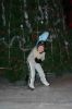 Файл=IMG_6683_resize.jpg
Объём=297КБ
Размеры=1152x1728
Дата=Янв 02, 2009 IMG_6683_resize.jpg