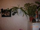 DSCN0359.JPG