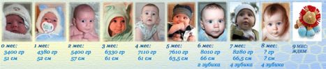 Файл=линейка_8.jpg
Объём=155КБ
Размеры=682x146
Дата=Июль 22, 2008 линейка_8.jpg
