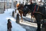 Файл=IMG_1388~0.jpg
Объём=77КБ
Размеры=622x414
Дата=Фев 12, 2008 IMG_1388~0.jpg