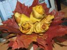 DSCF4835.JPG