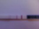Файл=DSC00098.JPG
Объём=7КБ
Размеры=160x120
Дата=Авг 22, 2007 DSC00098.JPG