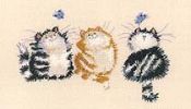 Caterflies.jpg