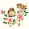 Файл=VPR0778-Rose_Chick_Chat.jpg
Объём=44КБ
Размеры=400x400
Дата=Нояб 26, 2007 VPR0778-Rose_Chick_Chat.jpg