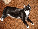 Файл=DSC01840.gif
Объём=415КБ
Размеры=800x600
Дата=Окт 23, 2007 DSC01840.gif