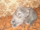 Файл=DSC01888.gif
Объём=419КБ
Размеры=800x600
Дата=Окт 23, 2007 DSC01888.gif