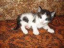 Файл=DSC01891.gif
Объём=382КБ
Размеры=800x600
Дата=Окт 23, 2007 DSC01891.gif