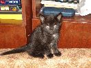 Файл=DSC01900.gif
Объём=284КБ
Размеры=800x600
Дата=Окт 23, 2007 DSC01900.gif