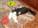 Файл=DSC02079_1.gif
Объём=311КБ
Размеры=800x600
Дата=Дек 03, 2007 DSC02079_1.gif