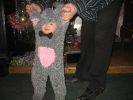 Файл=Изображение_085.jpg
Объём=173КБ
Размеры=1024x768
Дата=Янв 15, 2008 Изображение_085.jpg