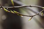 _MG_5467.jpg