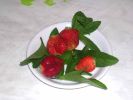 Файл=DSCN3523_.jpg
Объём=64КБ
Размеры=800x600
Дата=Июнь 22, 2008 DSCN3523_.jpg