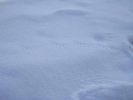 Файл=DSCN3716_.jpg
Объём=42КБ
Размеры=800x600
Дата=Дек 08, 2008 DSCN3716_.jpg