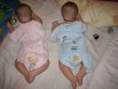 Файл=Kids3_071.jpg
Объём=110КБ
Размеры=1024x768
Дата=Март 11, 2008 Kids3_071.jpg