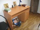 Файл=290908_015.jpg
Объём=101КБ
Размеры=1024x768
Дата=Янв 16, 2009 290908_015.jpg
