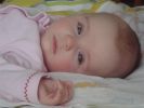Файл=DSC00015_(Medium).JPG
Объём=44КБ
Размеры=800x600
Дата=Янв 05, 2009 DSC00015_(Medium).JPG