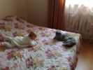Файл=020820081147.jpg
Объём=117КБ
Размеры=1024x768
Дата=Авг 09, 2008 020820081147.jpg