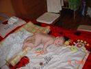 Файл=16411_448x336_DSC07857_1.jpg
Объём=79КБ
Размеры=448x336
Дата=Окт 09, 2008 16411_448x336_DSC07857_1.jpg