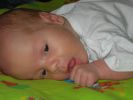 Файл=DSCN1431.JPG
Объём=483КБ
Размеры=2048x1536
Дата=Дек 05, 2008 DSCN1431.JPG
