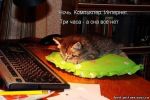 Файл=___три_часа_-а_сна_всё_нет_(кот_у_компьютера).jpg
Объём=58КБ
Размеры=600x398
Дата=Апр 30, 2010 ___три_часа_-а_сна_всё_нет_(кот_у_компьютера).jpg