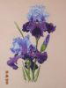 Файл=DSCN3768.JPG
Объём=122КБ
Размеры=768x1024
Дата=Сент 26, 2010 DSCN3768.JPG