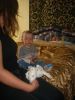 Файл=IMG_6357.JPG
Объём=112КБ
Размеры=768x1024
Дата=Окт 12, 2010 IMG_6357.JPG