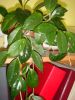 DSC07049.JPG