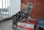 Файл=DSC_5455.jpg
Объём=290КБ
Размеры=1000x669
Дата=Июль 27, 2010 DSC_5455.jpg