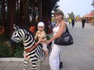 Файл=DSC02307.JPG
Объём=127КБ
Размеры=1024x768
Дата=Авг 16, 2010 DSC02307.JPG
