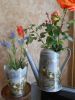 DSCN0478.JPG