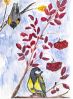 Файл=Коршиков_Леша,_7_лет__По_сюжетам_программы_В_мире_животных_.jpg
Объём=314КБ
Размеры=1280x1744
Дата=Май 26, 2011 Коршиков_Леша,_7_лет__По_сюжетам_программы_В_мире_животных_.jpg