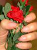 Файл=DSC00499.jpg
Объём=129КБ
Размеры=768x1024
Дата=Июль 04, 2011 DSC00499.jpg