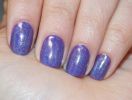 DSCN0486-1.jpg