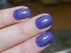 DSCN0489-1.jpg