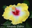 018_-_Amanda_Dubin.jpg