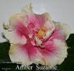 028_-_Amber_Suzanne.jpg