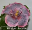 037_-_Timeless_Treasure.jpg