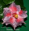 055_-_Storm_Front.jpg