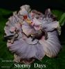 065_-_Stormy_Days.jpg