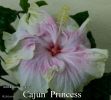 068_-_Cajun_Princess.jpg