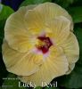 075_-_Lucky_Devil.jpg