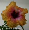 092_-_Pele's_Fountain.jpg