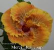 105_-_Merci_Beaucoup.jpg