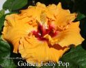 120_-_Golden_Lolly_Pop.jpg