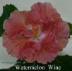 Файл=157_-_Watermelon_Wine.jpg
Объём=245КБ
Размеры=800x782
Дата=Янв 02, 2014 157_-_Watermelon_Wine.jpg